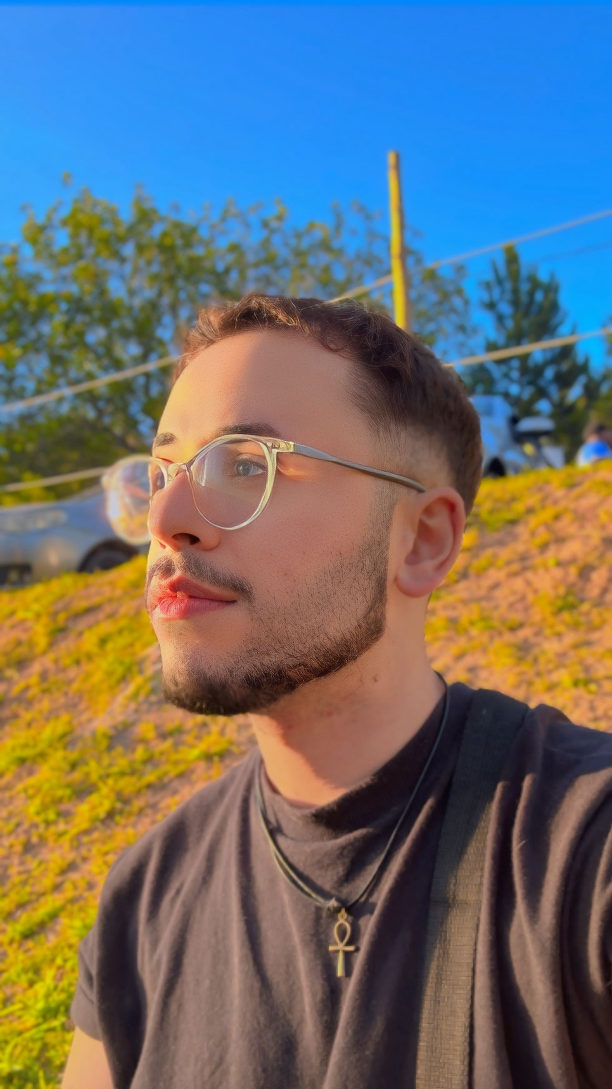 Renato Domingos de Sousa Santos